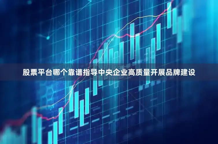 股票平台哪个靠谱指导中央企业高质量开展品牌建设